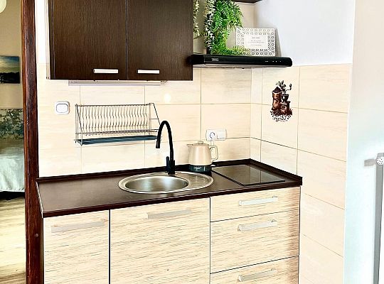 5. Apartament z jedną sypialnią i tarasem