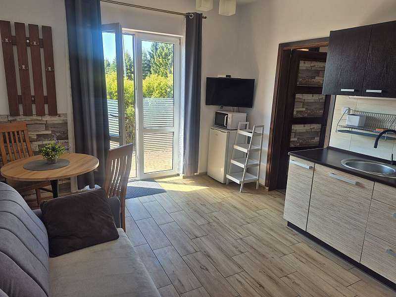 Apartament typu Studio z tarasem